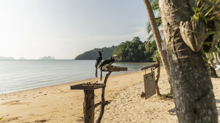 Paradise Koh Yao (Koh Yao Noi)